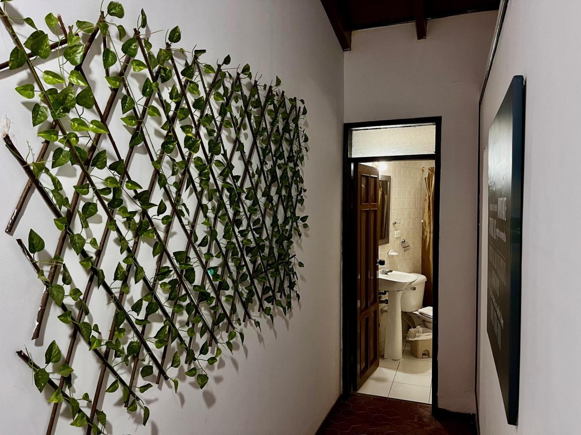 The Chill In Mansion Hostel Santa Marta Exterior photo