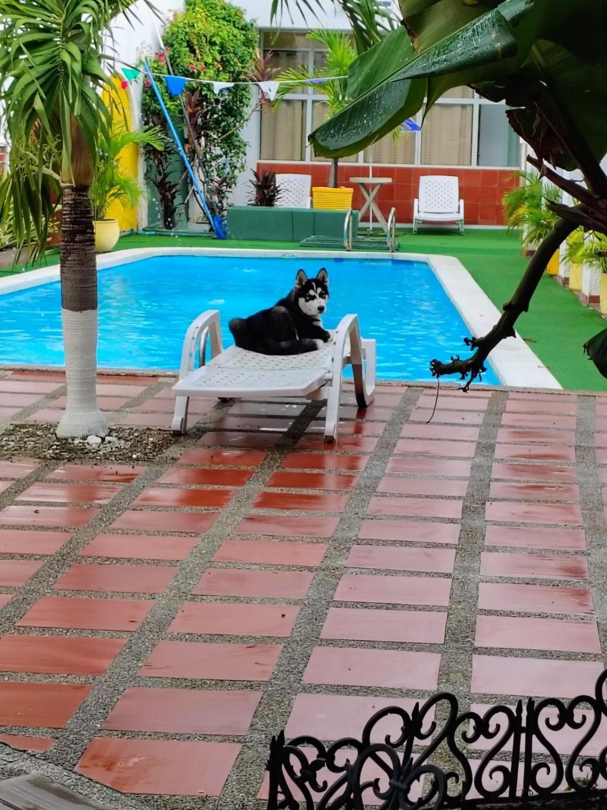 The Chill In Mansion Hostel Santa Marta Exterior photo